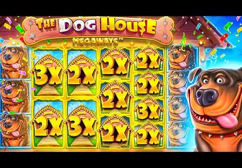 My RECORD WINS On DOG HOUSE SLOT!! (INCREDIBLE HITS)