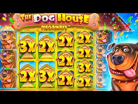 My RECORD WINS On DOG HOUSE SLOT!! (INCREDIBLE HITS)