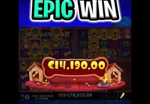 THE NEW DOG HOUSE MULTIHOLD SLOT 🐶 MEGA BIG WIN BONUS‼️ #shorts