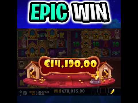 THE NEW DOG HOUSE MULTIHOLD SLOT 🐶 MEGA BIG WIN BONUS‼️ #shorts