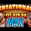 THE DOG HOUSE MULTIHOLD SLOT 😮 EPIC BIG WINS 🔥 MAX BET OMG‼️