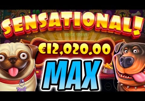 THE DOG HOUSE MULTIHOLD SLOT 😮 EPIC BIG WINS 🔥 MAX BET OMG‼️