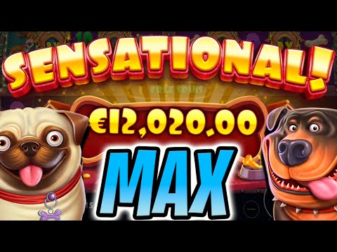 THE DOG HOUSE MULTIHOLD SLOT 😮 EPIC BIG WINS 🔥 MAX BET OMG‼️