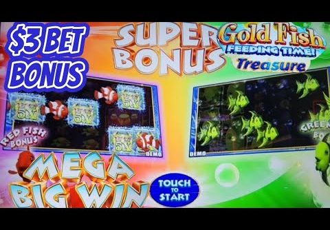 MEGA BIG WIN on SUPER BONUS