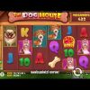 DOG HOUSE MEGAWAYS |🐶ÜZMEDEN YORMADAN BİG WİN🐶 #slot #casino #doghouse