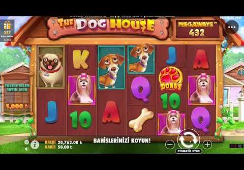 DOG HOUSE MEGAWAYS |🐶ÜZMEDEN YORMADAN BİG WİN🐶 #slot #casino #doghouse