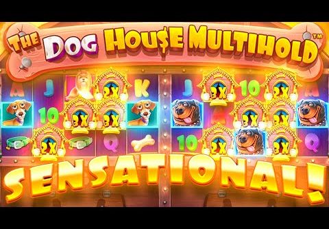 FINALLY… MY BIGGEST WIN YET ON DOG HOUSE MULTIHOLD!!