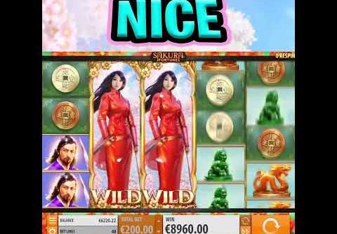 SAKURA FORTUNE SLOT 🔥 MEGA BIG WIN BONUS 😮 €200 MAX BET OMG‼️ #shorts