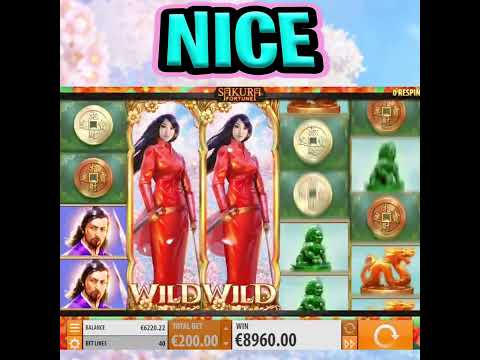 SAKURA FORTUNE SLOT 🔥 MEGA BIG WIN BONUS 😮 €200 MAX BET OMG‼️ #shorts