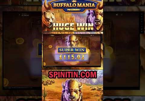 Mega Win On Buffalo Mania Megaways! #shorts, #Bigwin #slots