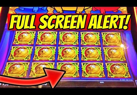 🐷TONS OF BIG WINS! Massive Win Session on High Limit Rich Little Piggies Slot🐷