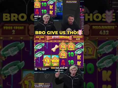 🔥$650K BIG WIN IN DOG HOUSE SLOT🔥