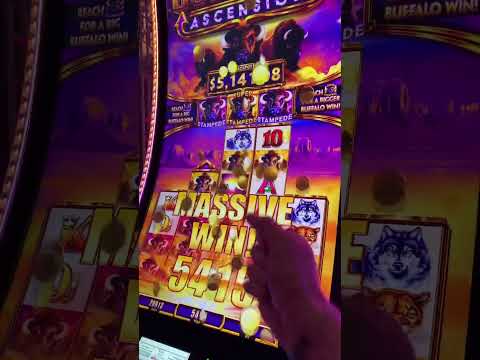 Super Stampede on a $4 bet! 🦬 #buffaloascension #slots #bigwin #slotaholic