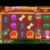 DOG HOUSE MEGAWAYS |🐶ETKİNLİK + BİG WİN TEKRARDAN SİZLERLE ÇOK İYİ !!!!!🐶  #slot #casino #doghouse