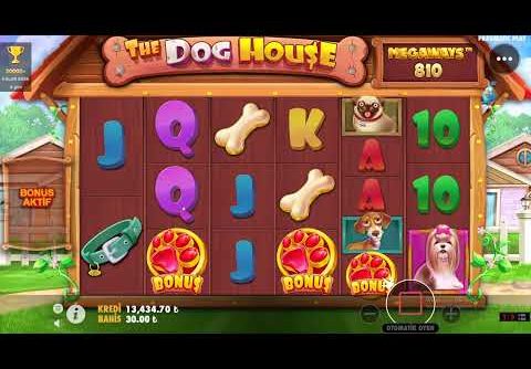 DOG HOUSE MEGAWAYS |🐶ETKİNLİK + BİG WİN TEKRARDAN SİZLERLE ÇOK İYİ !!!!!🐶  #slot #casino #doghouse