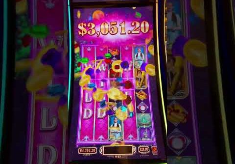 Biggest Jackpot Ever On Wizards Of Oz Slot #shorts