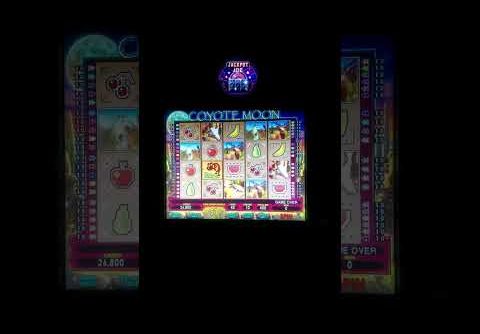 Coyote Moon Slot Machine Jackpots Running Wild with Big Wins