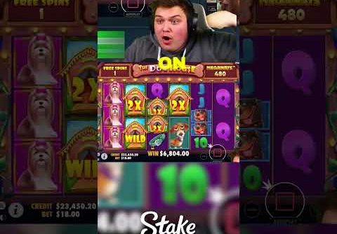 INSANE SET-UP On DOG HOUSE SLOT!! (BONUS BUYS) #slots #casino #thedoghouse #shorts