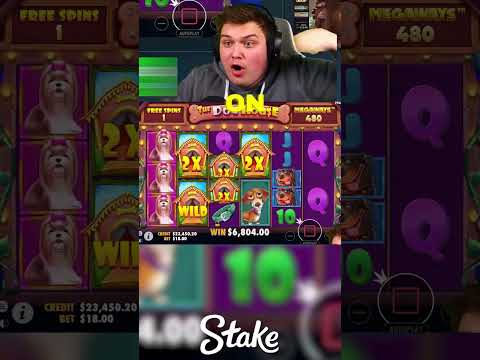 INSANE SET-UP On DOG HOUSE SLOT!! (BONUS BUYS) #slots #casino #thedoghouse #shorts