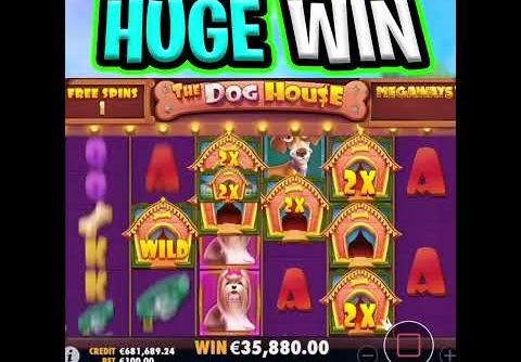 DOG HOUSE MEGAWAYS SLOT 🤑 MUST SEE MEGA BIG WIN BONUS 🔥 OMG THIS IS MASSIVE‼️ #shorts