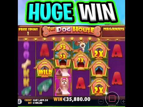 DOG HOUSE MEGAWAYS SLOT 🤑 MUST SEE MEGA BIG WIN BONUS 🔥 OMG THIS IS MASSIVE‼️ #shorts