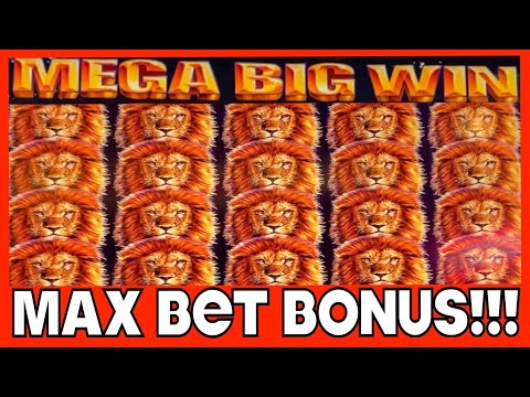 **HUGE MEGA WINS!!!** MAX BET!!! KING OF AFRICA WMS SLOT MACHINE BONUS