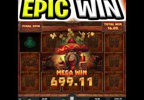 U MUST SEE THIS WILD LINE MEGA BIG WIN 🔥 WILD CHAPO PAID HUGE OMG‼️ #shorts