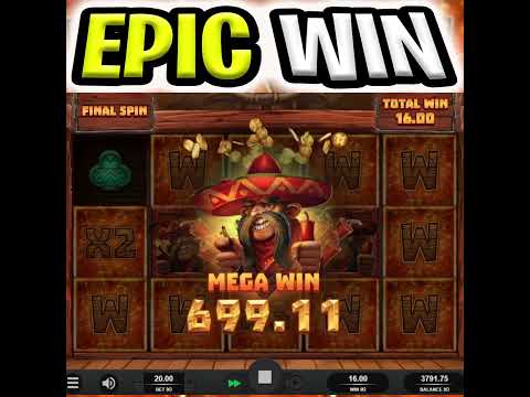 U MUST SEE THIS WILD LINE MEGA BIG WIN 🔥 WILD CHAPO PAID HUGE OMG‼️ #shorts