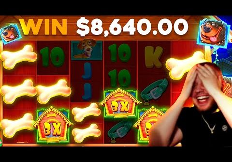 I WON $8,500+ FROM A $20 SPIN ON THE DOG HOUSE SLOT!! (RECORD WIN)