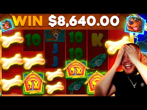 I WON $8,500+ FROM A $20 SPIN ON THE DOG HOUSE SLOT!! (RECORD WIN)