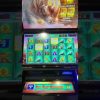 Bookies Slot Raging Rhino My BIGGEST Win Ever playing this !!