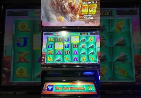 Bookies Slot Raging Rhino My BIGGEST Win Ever playing this !!