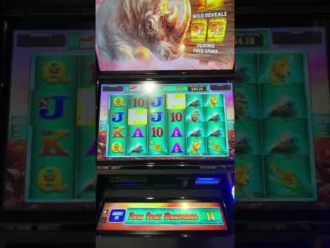 Bookies Slot Raging Rhino My BIGGEST Win Ever playing this !!