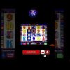 “Big Win Alert: Wolf Run Slot Machine Pays Out $1250 Jackpot!”