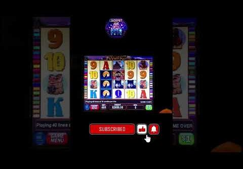 “Big Win Alert: Wolf Run Slot Machine Pays Out $1250 Jackpot!”