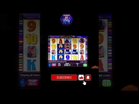 “Big Win Alert: Wolf Run Slot Machine Pays Out $1250 Jackpot!”