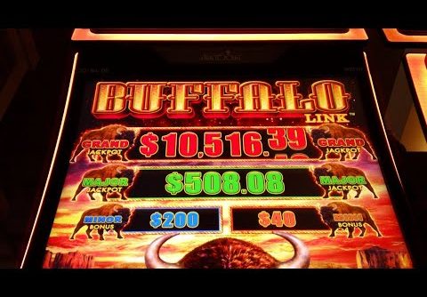 🎰 BIG SLOT WINS ON BUFFALO LINK  SLOTS. PLEASE DON’T FAST FORWARD  AMAZING SLOT PLAY 🎰