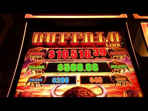 🎰 BIG SLOT WINS ON BUFFALO LINK  SLOTS. PLEASE DON’T FAST FORWARD  AMAZING SLOT PLAY 🎰