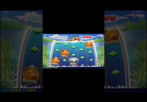 BIG BASS HOLD & SPIN RECORD WIN #slot #shortvideo #online #pragmatic #shorts