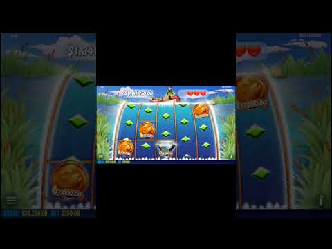 BIG BASS HOLD & SPIN RECORD WIN #slot #shortvideo #online #pragmatic #shorts