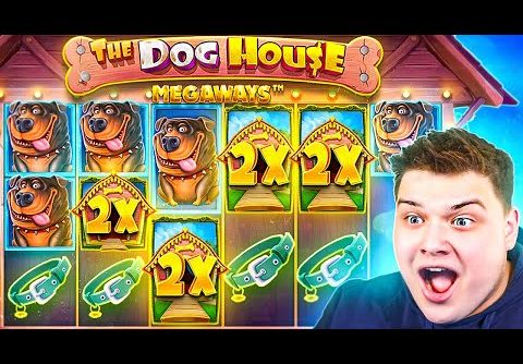 GREATEST EVER SPIN On DOG HOUSE MEGAWAYS!! (MASSIVE WIN)