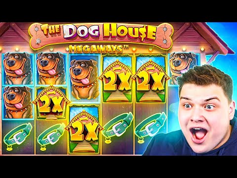 GREATEST EVER SPIN On DOG HOUSE MEGAWAYS!! (MASSIVE WIN)