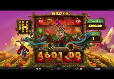 WILD YIELD💥RELAX GAMING💥NEW SLOT💥HUGE WIN💥