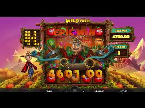 WILD YIELD💥RELAX GAMING💥NEW SLOT💥HUGE WIN💥