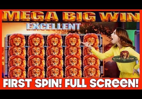 **FULL SCREEN!!!** FIRST SPIN!!! HUGE WINS!!! KING OF AFRICA WMS SLOT MACHINE BONUS