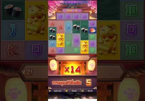 #luckyneko #onlineslot #subscribe #casino #pgsoft #pgsoft #gambler #bigwin #gambling #onlineslot