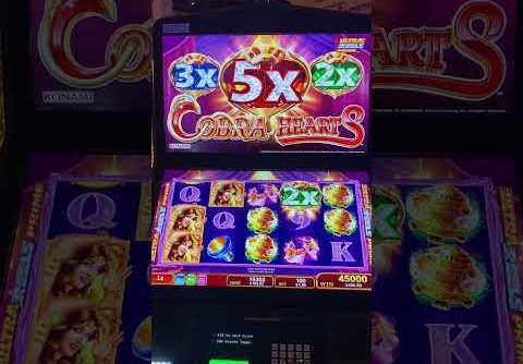 Cobra 🐍 super big win 🎰 slot win