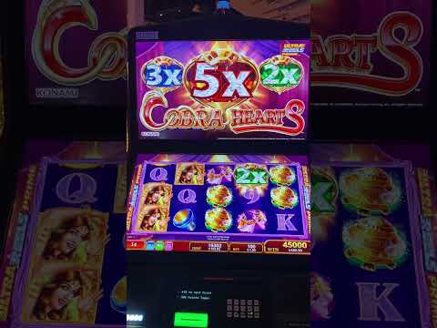 Cobra 🐍 super big win 🎰 slot win