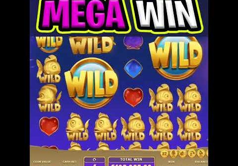 MY BIGGEST REOCRD WIN EVER 🤑 ON GOLDEN FISH TANK 2 SLOT 🔥 SUPER FREE SPINS‼️ #shorts