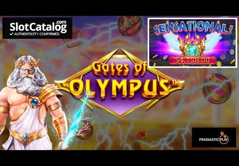 Mega win. Gates of Olympus slot from Pragmatic Play